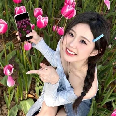 金毛喜迎冬